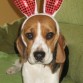 Foto de mi gordi en carnaval